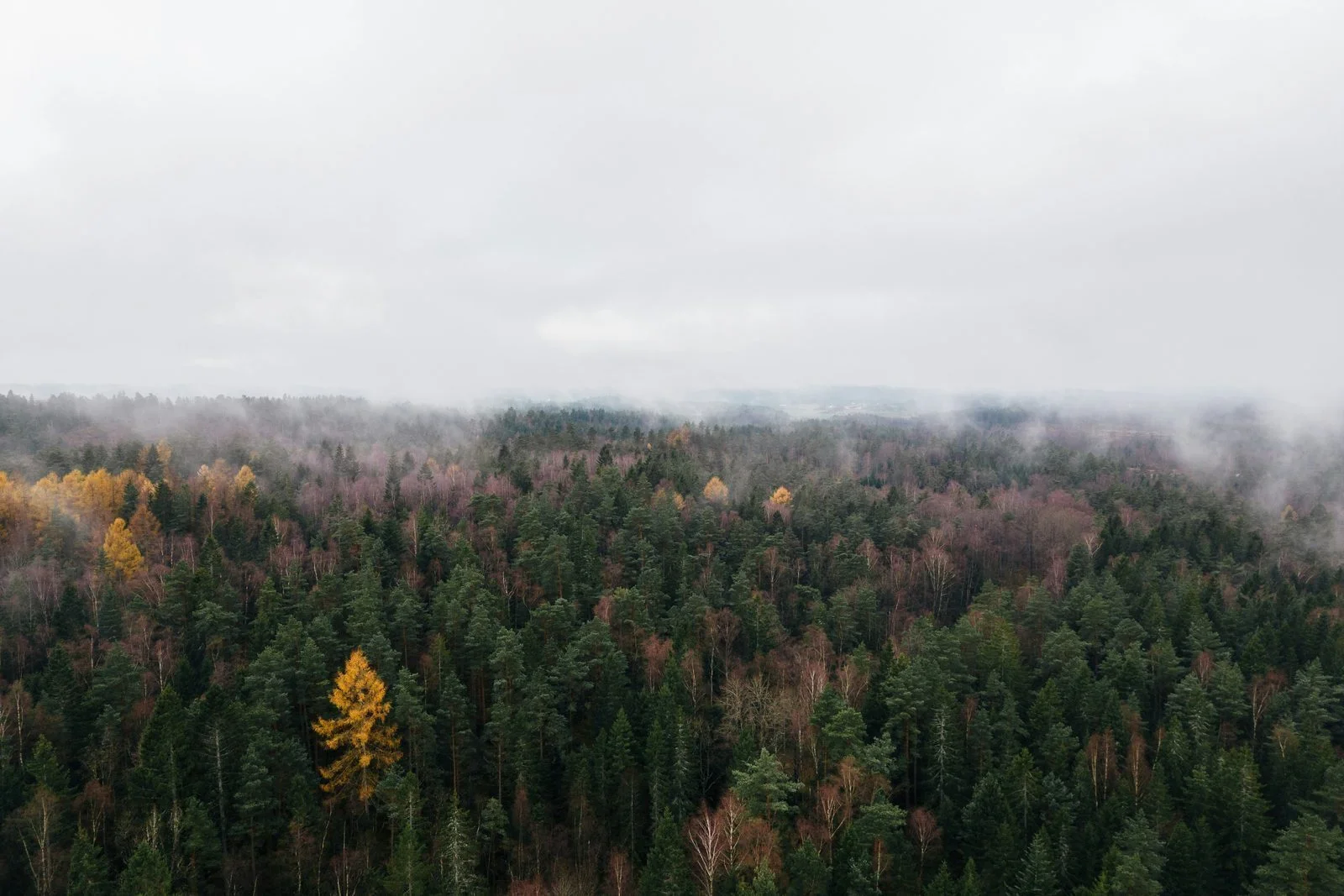 Bend seen from above