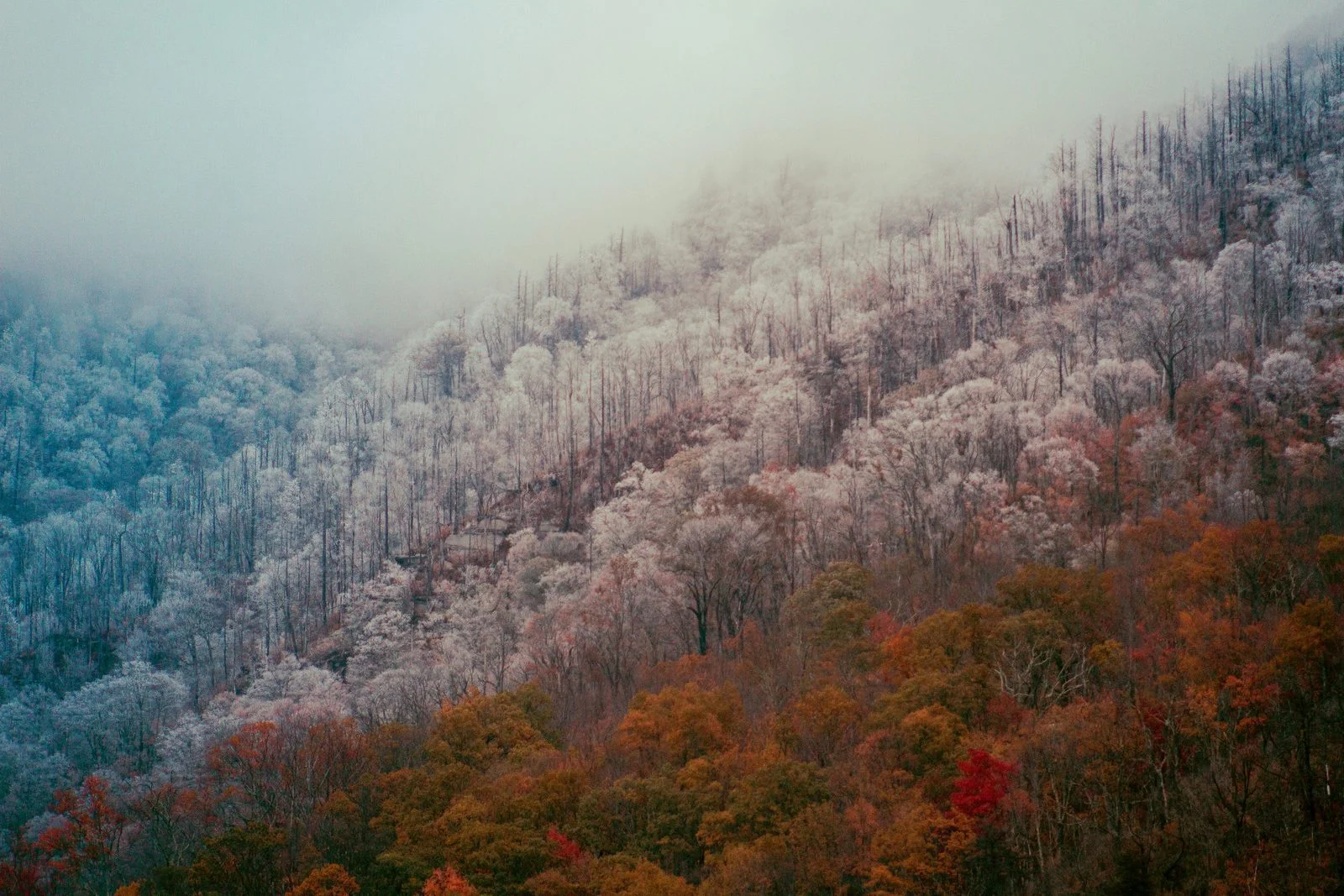 Smoky Mountains seen from above